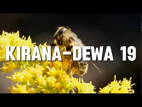 Download MP3 Kirana - Dewa 19 (Lirik)