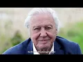 We Learn It Too Late - 100 Year Old Sir David Attenborough on Life's Secrets