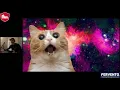 Angular Roma Online Meetup with Gerard Sans
