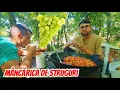 Download Lagu Mâncărica de struguri albi cu piept de pui la Căsuța din Pădure !!
