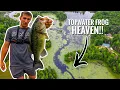 Fishing for BIG Largemouth with the Topwater FROG on a Northern Wisconsin Lake 7-3-2026