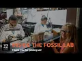 Inside the Fossil Lab All About Bones