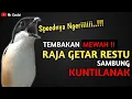 NGERIIII..!!!MASTERAN RAJA GETAR RESTU SAMBUNG KUNTILANAK !!