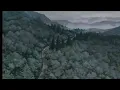 Skin - Harsh Symmetry [slowed & reverb]