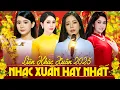 Download Lagu NHẠC XUÂN 2025 KHÔNG QUẢNG CÁO - Liên Khúc Nhạc Xuân Trữ Tình Thu Âm Mới Toàn Bài Hay 2025 Đón Tết