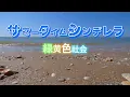 緑黄色社会『サマータイムシンデレラ』【歌詞動画】