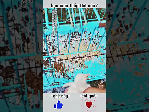 chọi mạnh vậy