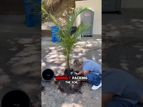 How To Fix Any Pothole🌴