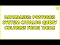 Databases postgres system catalog query columns from table