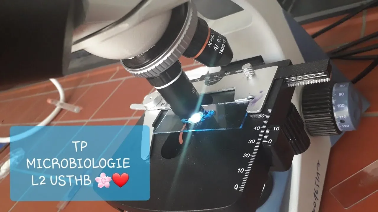 Résume des TP Microbiologie pour l2 .. USTHB 🌸❤