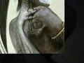Vestigial - The Coming