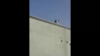 وش جابه هناك  وش جابه هناك
