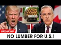 Download Lagu Trump GONE MAD as Canada Just SHUT DOWN The Entire USA Lumber Supply to HIT BACK at Tariffs!