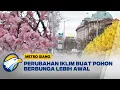 Musim Semi, Kuncup dan Bunga Mekar di Bulgaria [Metro Siang]