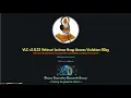 VLC 3 0 23 Vetinari Heap Out-of-Bounds Write 0Day Vulnerability