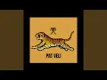 Download Lagu TIGER BOMB