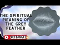 The Spiritual Meaning of the Grey Feather symbols