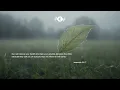 Download Lagu RESTORE - Soaking worship instrumental | Prayer and Devotional