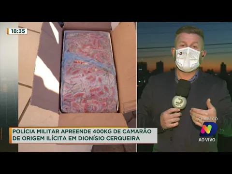 Polícia Militar apreende 400kg de camarão de origem ilícita em Dionísio Cerqueira