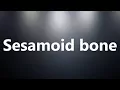 Sesamoid bone - Medical Definition and Pronunciation