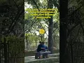 Download Lagu Viral Sepasang Remaja Mesum di Taman Dadaha Tasikmalaya