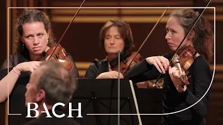 Download Bach - Air from Orchestral Suite no. 3 in D major BWV 1068 | Netherlands Bach Society MP3