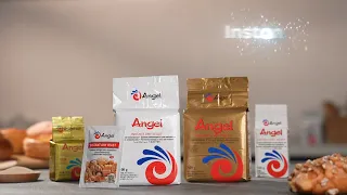                             دندنها