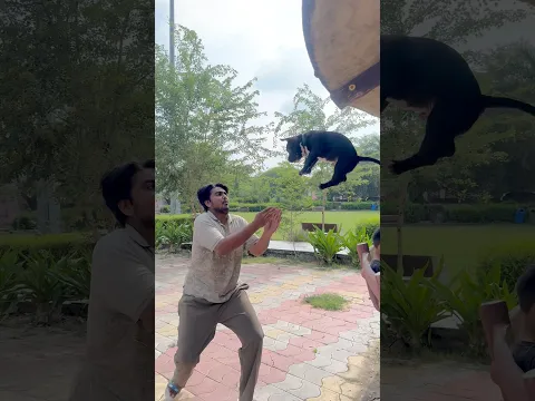 Aaj bully ne apne bhaiya ko sabak sikhaya😱