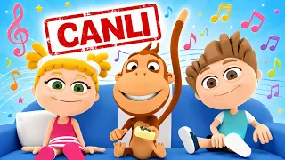 🔴 Kukuli Canlı | En Sevilen Çocuk Şarkıları ve Eğlenceli Klipler