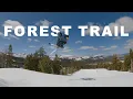 FOREST TRAIL Mammoth April 4 2025