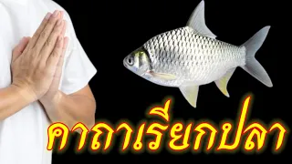 คาถาเรียกปลา
