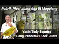 Lagu Yasin Tedy Saputra Pencetak Pleci\