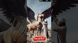 لماذا ذبح النبي سليمان الاحصنة المجنحة 