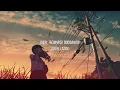 【Ado】Show (唱) (lyrics Video)