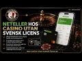 Neteller Casino utan Svensk Licens - Insattningar och Uttag