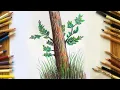 How to Draw a Tree Trunk with Colored Pencils A Beginner s Guide