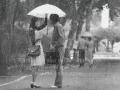 Download Lagu *** Rhythm of the Rain