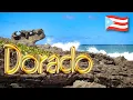 Dorado Puerto Rico A Paradise For The Adventurous