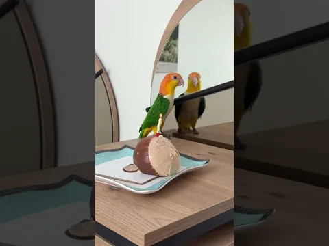 Yaprak 1 yaşında 🎂