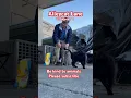 Download Lagu Alleycat Lane #love #cat #cute #cats #shorts #shortvideo #cold #reels #viralvideo #alleycats #god