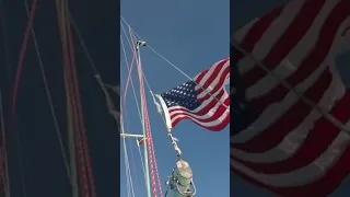 #dyneema backstay adjuster