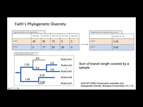 Alpha diversity metrics