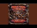 INDUSTRIAL STRENGTH MANUFACTURING ELECTRIC