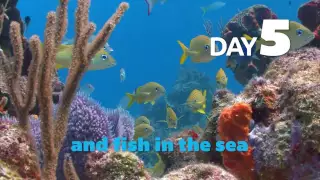 The Creation Song - Kids Learn the Days of Creation In This Short Song