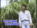 Lagu TIN TIN IJUK~Mas Putra