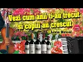 Download Lagu PETRECERE - VEZI CUM ANII ŢI-AU TRECUT ŞI COPIII AU CRESCUT - LIVIA DIRICEL
