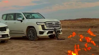  اهنگ جدید         پرادو پرادو  دندنها