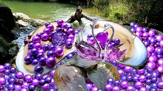 😱🎁Pry open the giant clam, filled with precious purple pearls, so beautiful that it's tempting