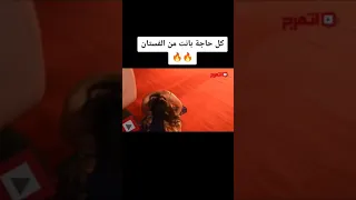 لحظات مثيرة من سقوط سما المصري  لحظات مثيرة من سقوط سما المصري