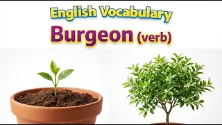 552 Burgeon word meaning synonym antonym English vocabulary for SSC CGL CAT exam